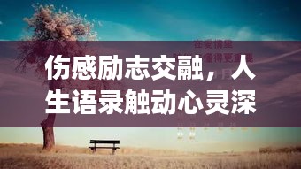 伤感励志交融，人生语录触动心灵深处