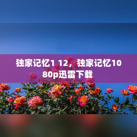 独家记忆1 12，独家记忆1080p迅雷下载 