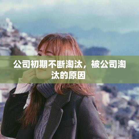 公司初期不断淘汰，被公司淘汰的原因 
