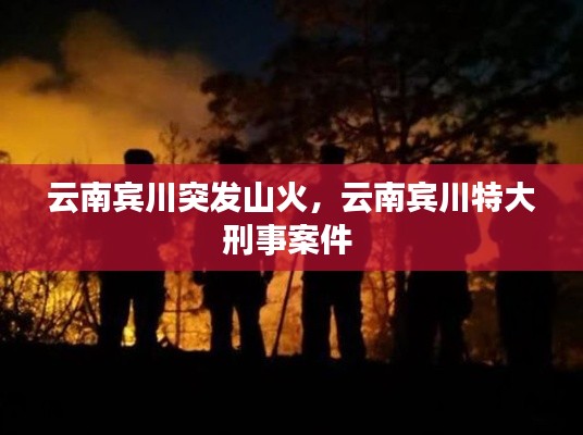 云南宾川突发山火，云南宾川特大刑事案件 