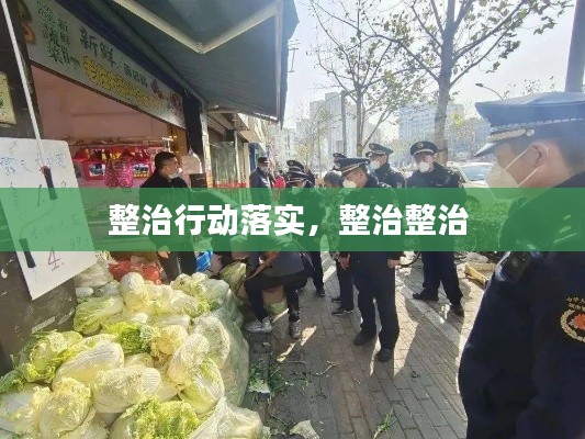 整治行动落实，整治整治 