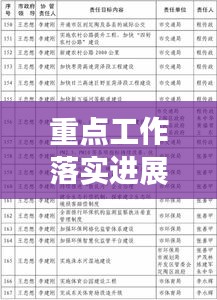 重点工作落实进展，重点工作任务落实 