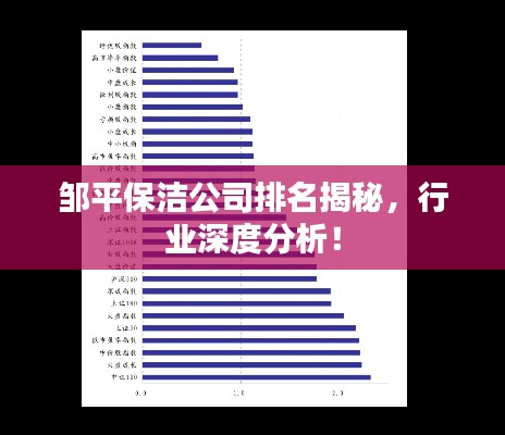 邹平保洁公司排名揭秘，行业深度分析！