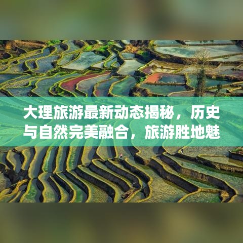 大理旅游最新动态揭秘，历史与自然完美融合，旅游胜地魅力无限探索！