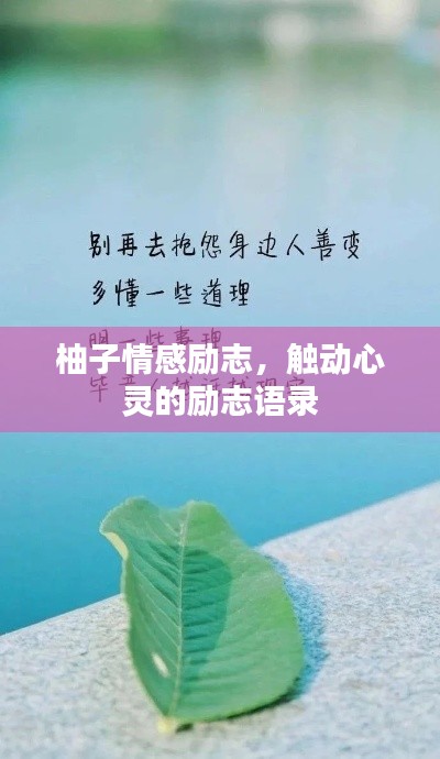 柚子情感励志，触动心灵的励志语录