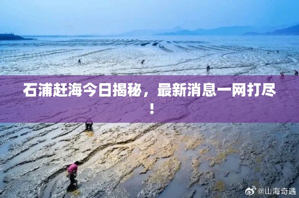 石浦赶海今日揭秘，最新消息一网打尽！