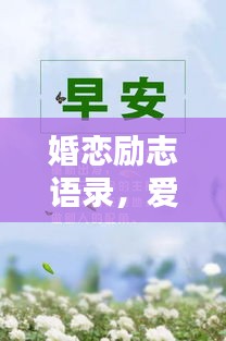 婚恋励志语录，爱的智慧与人生奋斗之路
