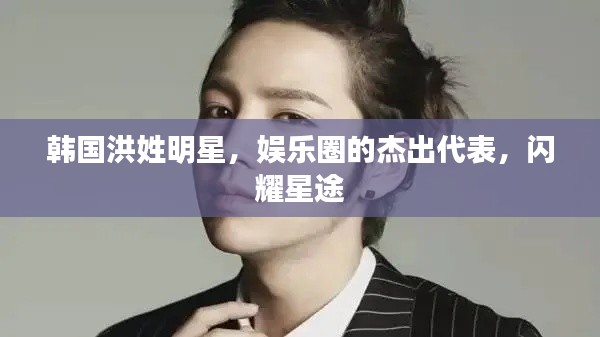 韩国洪姓明星，娱乐圈的杰出代表，闪耀星途