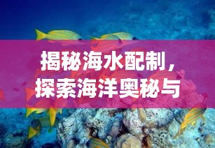 揭秘海水配制，探索海洋奥秘与模拟实验之旅
