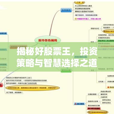 揭秘好股票王，投资策略与智慧选择之道