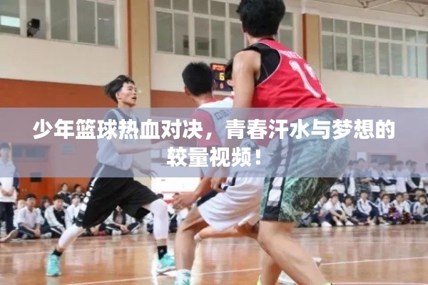 少年篮球热血对决，青春汗水与梦想的较量视频！