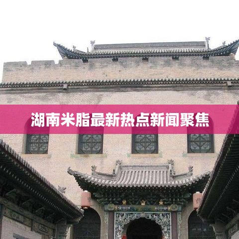 湖南米脂最新热点新闻聚焦