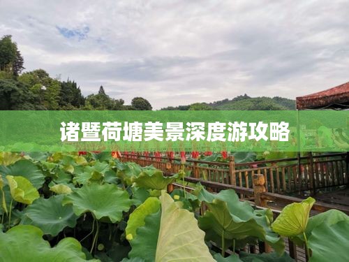 诸暨荷塘美景深度游攻略