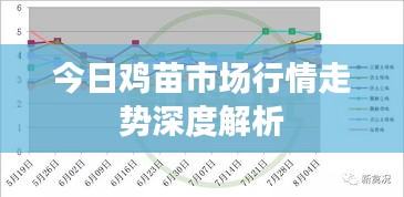 今日鸡苗市场行情走势深度解析