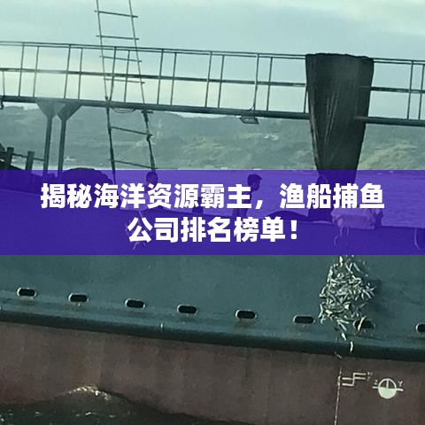 揭秘海洋资源霸主，渔船捕鱼公司排名榜单！