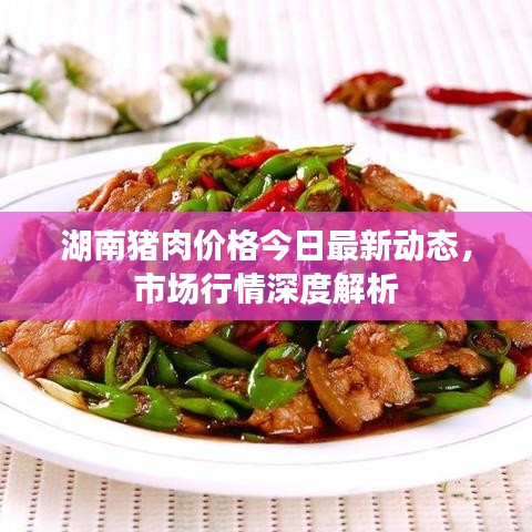 湖南猪肉价格今日最新动态，市场行情深度解析