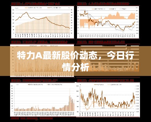特力A最新股价动态，今日行情分析