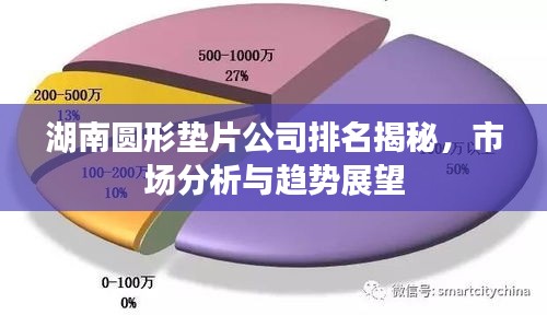 湖南圆形垫片公司排名揭秘，市场分析与趋势展望