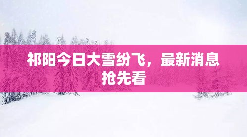祁阳今日大雪纷飞，最新消息抢先看