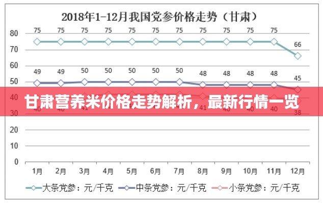 甘肃营养米价格走势解析，最新行情一览
