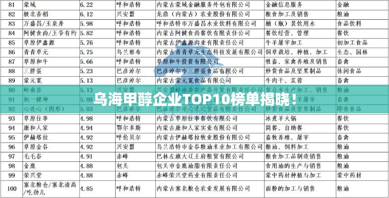 乌海甲醇企业TOP10榜单揭晓！