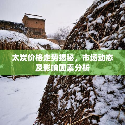 太炭价格走势揭秘，市场动态及影响因素分析