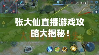 张大仙直播游戏攻略大揭秘！