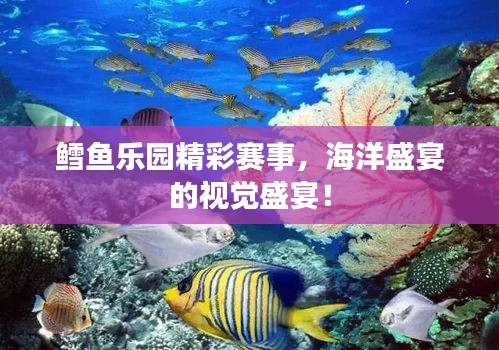 鳕鱼乐园精彩赛事，海洋盛宴的视觉盛宴！