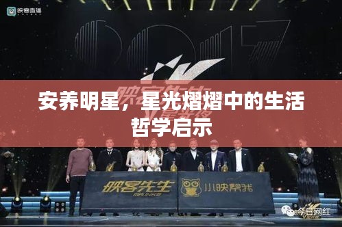 安养明星，星光熠熠中的生活哲学启示