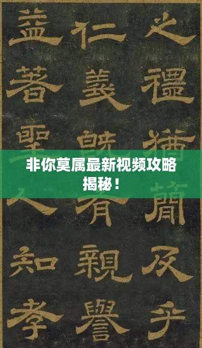 非你莫属最新视频攻略揭秘！