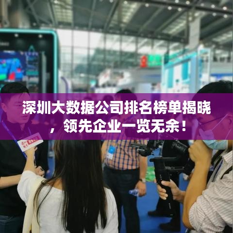 深圳大数据公司排名榜单揭晓，领先企业一览无余！