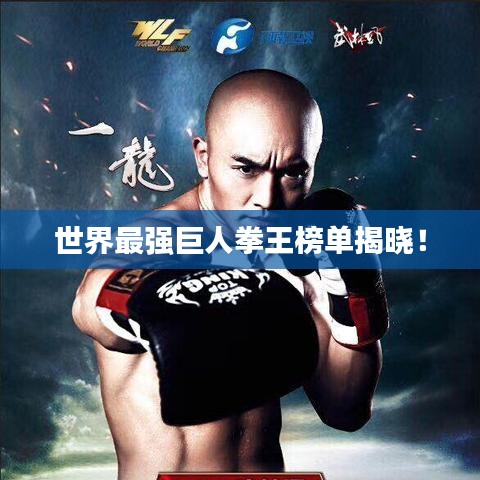 世界最强巨人拳王榜单揭晓！