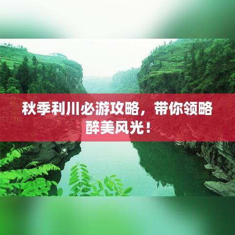秋季利川必游攻略，带你领略醉美风光！